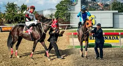 Datos de última hora 5y6 La Rinconada hoy, 4 de mayo: resultados, traqueos y pronósticos de Gaceta Hípica y Grupo Cordialito