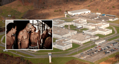 Pandilleros de la MS-13 apuñalan a tres oficiales penitenciarios dentro de una cárcel en Virginia