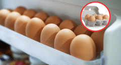 ¿Cómo conservar mejor los huevos en casa? expertos revelan las claves para evitar errores comunes en su almacenamiento