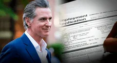 California: nueva ley firmada por Gavin Newsom elimina la licencia de conducir como requisito laboral