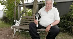 La historia de José Mujica y Manuela, su perrita de tres patas que vivió más de 20 años: quería que la entierren con ella