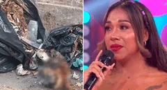 Dayanita indignada tras escándalo por quemar un cráneo humano: “Dijeron que había cometido un crimen"