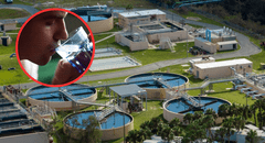 Florida prohíbe la fluoración del agua potable pública y genera polémica sobre sus efectos en la salud infantil