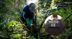 Más redadas del ICE en EEUU: esta es la inesperada isla donde se arrestan y deportan inmigrantes latinos