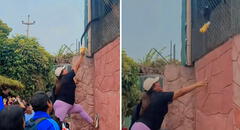 Peruana cruza seguridad para alimentar a monos en el Parque de las Leyendas y provoca indignación en redes: "Está prohibido"