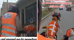 Motociclista peruana también le colocó chaleco a su perrito y es furor en redes: “Todo en regla”