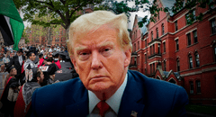 Juez en EEUU bloquea la medida de Trump que revoca matrículas de estudiantes extranjeros en Harvard