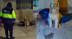 Perrito conmueve al no separarse de su dueño que dormía en una calle de Cusco, pese al intenso frío: “El verdadero amigo fiel”