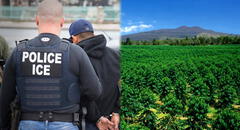 Nuevo objetivo en redadas de inmigración en EEUU: ICE está arrestando a trabajadores del sector agrícola de este estado