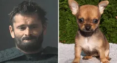 Hombre de Alabama es acusado de quemar vivo a su chihuahua porque ladraba mucho: deberá pagar fianza de US$15.000