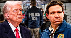 Duro golpe de Trump y DeSantis: arrestan a más de 250 inmigrantes en un megaoperativo de 9 días en este condado de Florida