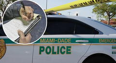 Florida: conductores en Miami-Dade serán multados por el FLHSMV si comenten esta falta en 2025