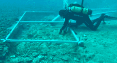 Arqueólogos encuentran una extraña 'carretera' de piedra sumergida bajo el mar de al menos 7.000 años de antigüedad