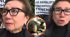 Mujer tras ser multada con S/2.600 por alimentar ardillas en Surquillo: "No les interesa lo que le pasa a los animales"