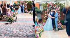 Familia de patos interrumpe boda justo cuando los novios iban a darse el “sí”: “Disculpen la demora”