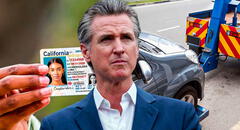 Gavin Newsom elimina la licencia de conducir: incautarían vehículos en California por no respetar esta vigente ley en 2025