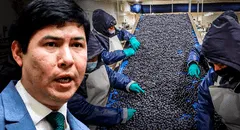 Congreso aprueba Ley Chlimper 2.0 con beneficios tributarios para grandes agroexportadoras