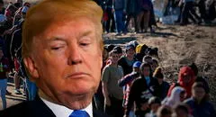 Atención, inmigrantes: ciudadanos de 7 países pueden viajar a EEUU, pero bajo estas condiciones de Trump