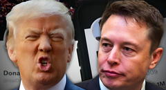 Del amor al odio: las 4 claves que explican la ruptura política entre Trump y Musk tras ataques en redes sociales