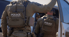 Inmigrante en EEUU pierde la Green Card tras mentir en su solicitud, ahora está bajo custodia de ICE y será deportado