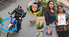 Policía en retiro habría envenenado a una decena de perros en VMT: "Todo está en las cámaras"