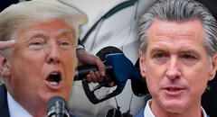 Duro golpe de Trump a California: presidente bloquea ley ambientalista que prohíbe los carros de gasolina en el estado