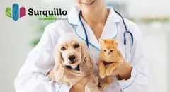 Surquillo lanza campaña veterinaria gratuita para perros y gatos: ¿Qué servicios ofrecerán el 14 de junio?