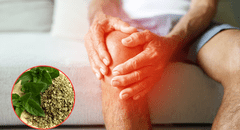 Descubre cómo esta especia mediterránea puede ser la aliada perfecta de tus articulaciones