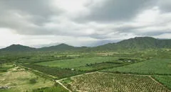 De tierras secas a amplios cultivos: Cómo Olmos impulsa la productividad agrícola en Valle Viejo