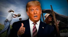 Donald Trump y su nueva propuesta para inmigrantes en EEUU: este grupo de indocumentados se salvaría de la deportación con nueva ley
