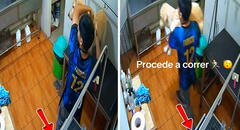 Sismo de 6,1 en Lima sorprendió a joven mientras bañaba a un perrito y su reacción conmovió a todos: nunca lo dejó solo