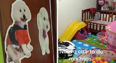 Peruano acondiciona cuarto exclusivo para sus perritos y desata furor en redes: “Tienen hasta cuna”