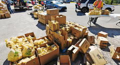 Comida gratis en Florida: organización benéfica entregará alimentos a inmigrantes que vayan a estas ubicaciones