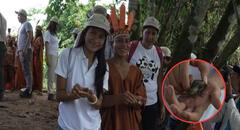 Colegio peruano se coloca entre los mejores del mundo gracias a su innovador proyecto de conservación de tortugas amazónicas