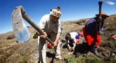 ¿El Día del Campesino es feriado en Perú? Regiones donde hoy 24 de junio sí es descanso y qué dice El Peruano sobre esta fecha
