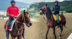 Datos superfijos de La Rinconada, 22 de junio: pronósticos hípicos y favoritos de Gaceta Hípica para las carreras del domingo