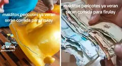 Peruano guarda su dinero en una alcancía, pero descubre que ratones se comieron sus billetes de S/100: “Mis ahorros, mi dinero”
