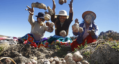 Día del Campesino 2025 en Perú: cuándo se celebra y cuál es su origen