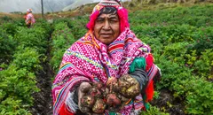 50 frases por el Día del Campesino 2025: los mejores saludos y mensajes para el 24 de junio