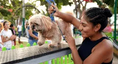 Lista de malls pet friendly en Lima: conoce los centros comerciales que aceptan mascotas