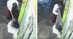 Hombre roba frazada a perrito callejero y desata ola de indignación en redes sociales: "El colmo"