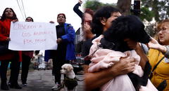 Denuncian presunto maltrato animal en albergue temporal en Comas