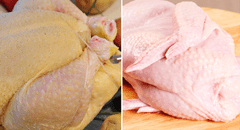 Pollo amarillo vs. pollo blanco: ¿cuál es mejor para tu salud y dieta diaria?