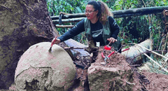 Caída de un árbol en el Amazonas deja al descubierto siete misteriosas esferas con restos humanos y de animales en su interior