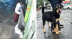 Perrito sin hogar al que hombre le robó su frazada fue adoptado: ¡Historia con final feliz!