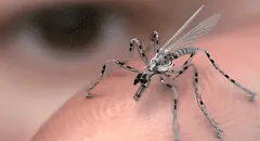 China desarrolla un minidron espía del tamaño de un mosquito: puede infiltrarse en misiones secretas sin ser detectado