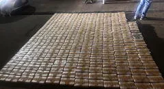 Golpe al cartel de Sinaloa en el Callao: frustran envío de un cargamento de cocaína a Europa