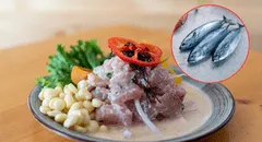 Día del Ceviche: descubre cómo el ceviche con pescado azul mejora la nutrición sin perder su esencia