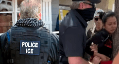 ICE detiene a vendedora ambulante de tacos en California: la inmigrante salvadoreña se aferró a un árbol para intentar evitar el arresto