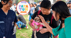 Patatón 2025: el festival de animales rescatados que busca recolectar 10 toneladas de comida para refugios de todo el país: ¿cómo participar?